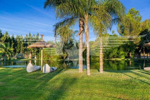 Villa a Montuiri, Mallorca, Montuiri - € 6.500.000 | Ref: 3628_D - foto 26