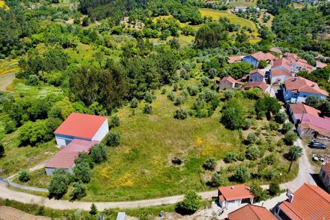 Helårsgrund i Tomar, Santarem, Tomar - € 50.000 | Ref: VCP268 - foto 11