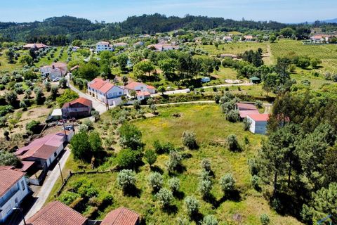 Helårsgrund i Tomar, Santarem, Tomar - € 50.000 | Ref: VCP268 - foto 15