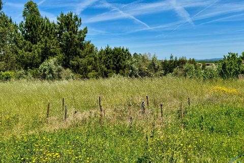 Helårsgrund i Tomar, Santarem, Tomar - € 50.000 | Ref: VCP268 - foto 19