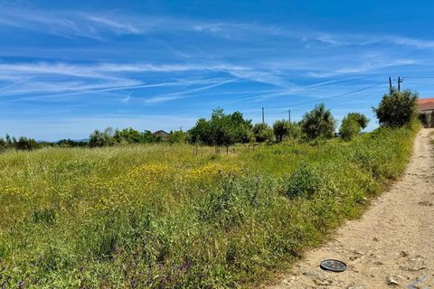 Helårsgrund i Tomar, Santarem, Tomar - € 50.000 | Ref: VCP268 - foto 20