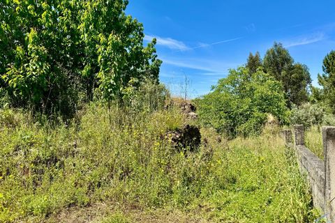 Helårsgrund i Tomar, Santarem, Tomar - € 50.000 | Ref: VCP268 - foto 21