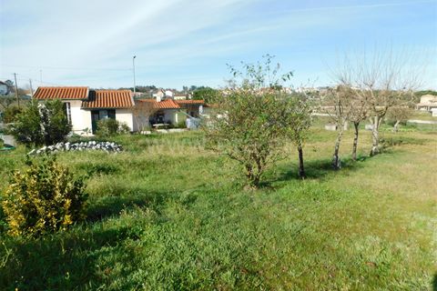 Herregård i Seia, Guarda, Seia - € 120 000 | Ref: 382240011 - foto 19