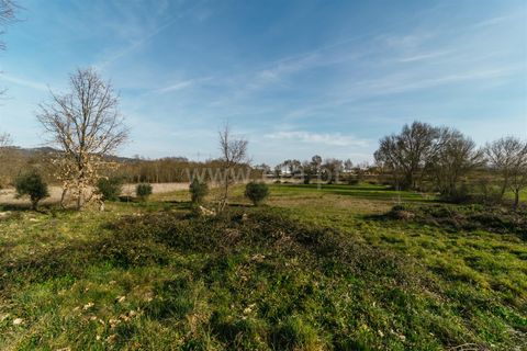 Helårsgrund i Fundao, Castelo Branco, Fundao - € 27.500 | Ref: 111240009 - foto 5