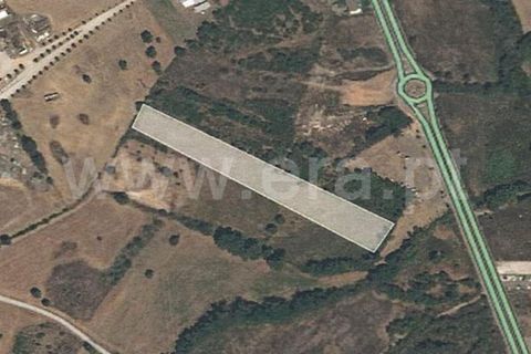 Helårsgrund i Fundao, Castelo Branco, Fundao - € 27.500 | Ref: 111240009 - foto 15