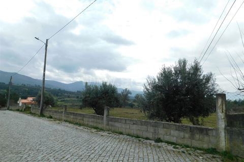 Helårsgrund i Celorico da Beira, Guarda, Celorico da Beira - € 50.000 | Ref: 382240029 - foto 2