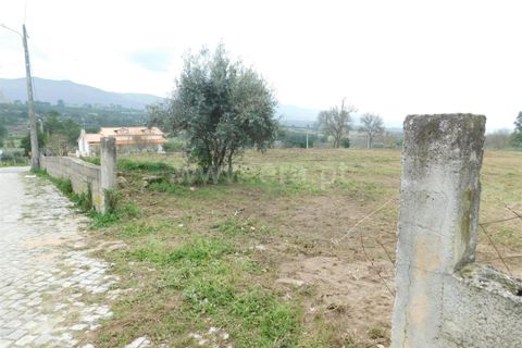 Helårsgrund i Celorico da Beira, Guarda, Celorico da Beira - € 50.000 | Ref: 382240029 - foto 3