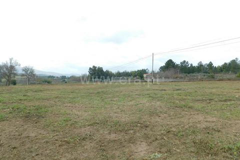 Helårsgrund i Celorico da Beira, Guarda, Celorico da Beira - € 50.000 | Ref: 382240029 - foto 4