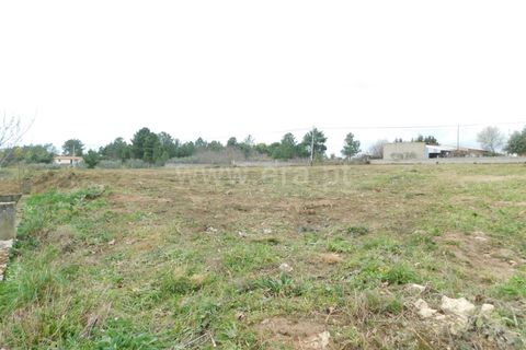Helårsgrund i Celorico da Beira, Guarda, Celorico da Beira - € 50.000 | Ref: 382240029 - foto 5