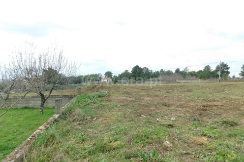 Helårsgrund i Celorico da Beira, Guarda, Celorico da Beira - € 50.000 | Ref: 382240029 - foto 6