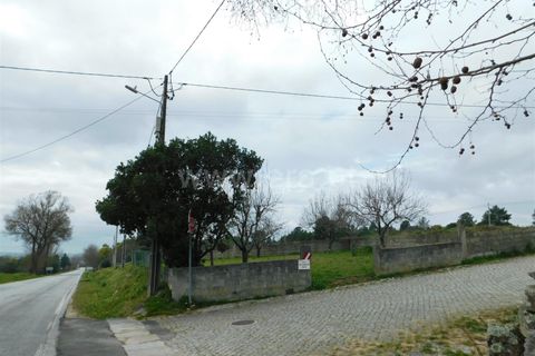 Helårsgrund i Celorico da Beira, Guarda, Celorico da Beira - € 50.000 | Ref: 382240029 - foto 7