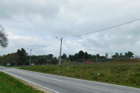 Helårsgrund i Celorico da Beira, Guarda, Celorico da Beira - € 50.000 | Ref: 382240029 - foto 8