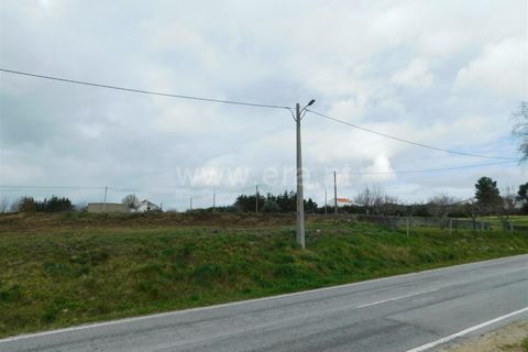 Helårsgrund i Celorico da Beira, Guarda, Celorico da Beira - € 50.000 | Ref: 382240029 - foto 9