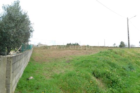 Helårsgrund i Celorico da Beira, Guarda, Celorico da Beira - € 50.000 | Ref: 382240029 - foto 10
