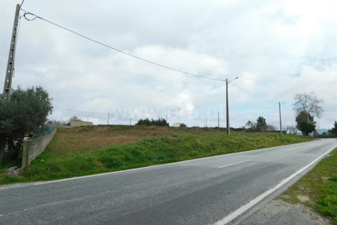 Helårsgrund i Celorico da Beira, Guarda, Celorico da Beira - € 50.000 | Ref: 382240029 - foto 11