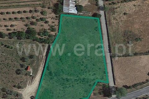Helårsgrund i Celorico da Beira, Guarda, Celorico da Beira - € 50.000 | Ref: 382240029 - foto 12