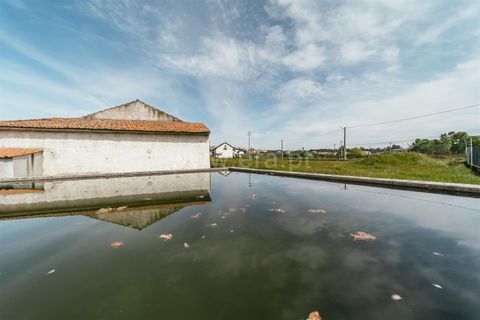 Villa en Seia, Guarda, Seia - € 265.900 | Ref: 382240037 - photo 20