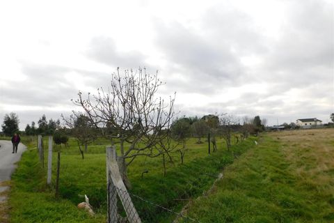 Helårsgrund i Seia, Guarda, Seia - € 100.000 | Ref: 382230201 - foto 2