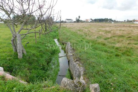 Helårsgrund i Seia, Guarda, Seia - € 100.000 | Ref: 382230201 - foto 3