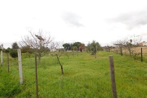Helårsgrund i Seia, Guarda, Seia - € 100.000 | Ref: 382230201 - foto 4