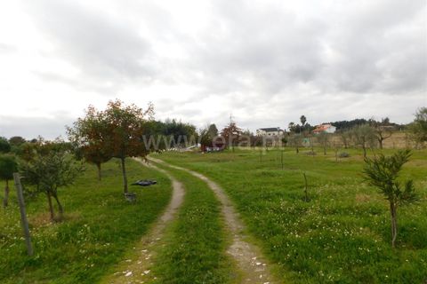 Helårsgrund i Seia, Guarda, Seia - € 100.000 | Ref: 382230201 - foto 6