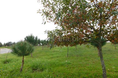 Helårsgrund i Seia, Guarda, Seia - € 100.000 | Ref: 382230201 - foto 7