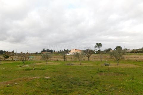 Helårsgrund i Seia, Guarda, Seia - € 100.000 | Ref: 382230201 - foto 8