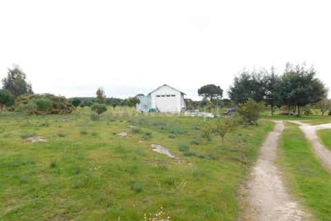 Helårsgrund i Seia, Guarda, Seia - € 100.000 | Ref: 382230201 - foto 9