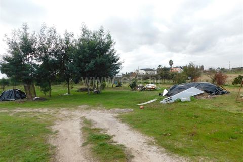 Helårsgrund i Seia, Guarda, Seia - € 100.000 | Ref: 382230201 - foto 10