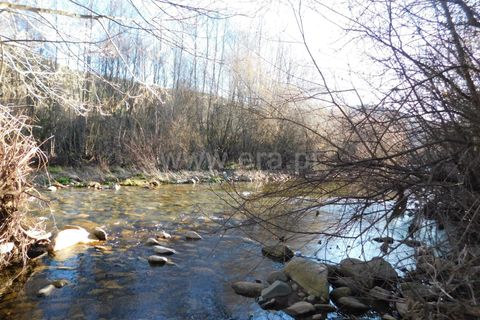 Terra a Covilha, Castelo Branco, Covilha - € 25.000 | Ref: 111230347 - foto 2