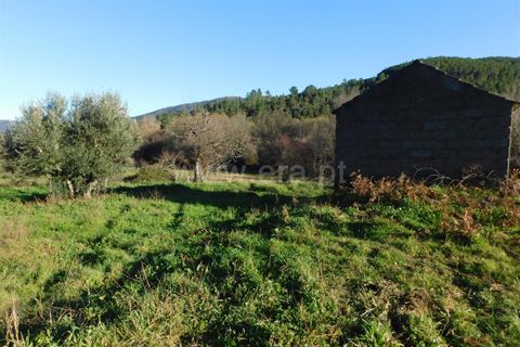 Terra a Covilha, Castelo Branco, Covilha - € 25.000 | Ref: 111230347 - foto 3