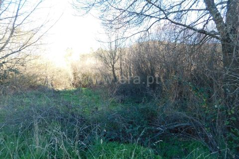 Terra a Covilha, Castelo Branco, Covilha - € 25.000 | Ref: 111230347 - foto 4