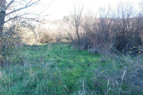 Terra a Covilha, Castelo Branco, Covilha - € 25.000 | Ref: 111230347 - foto 5