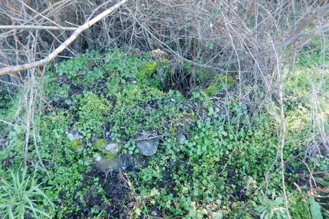 Terra a Covilha, Castelo Branco, Covilha - € 25.000 | Ref: 111230347 - foto 6