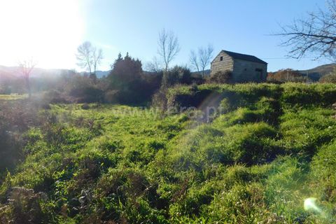 Terra a Covilha, Castelo Branco, Covilha - € 25.000 | Ref: 111230347 - foto 9