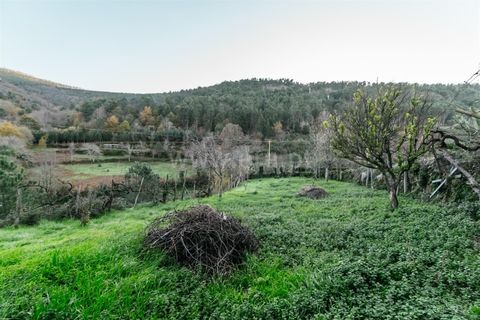 Villa i Seia, Guarda, Seia - € 139.000 | Ref: 382230195 - foto 5