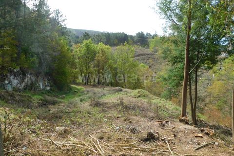 Helårsgrund i Seia, Guarda, Seia - € 35.000 | Ref: 382240053 - foto 2