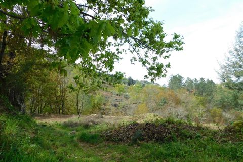 Helårsgrund i Seia, Guarda, Seia - € 35.000 | Ref: 382240053 - foto 3