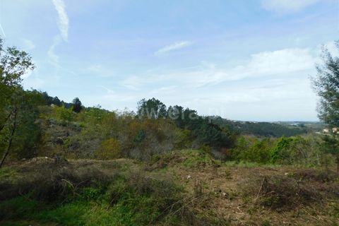 Helårsgrund i Seia, Guarda, Seia - € 35.000 | Ref: 382240053 - foto 5