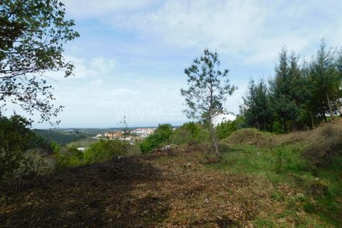 Helårsgrund i Seia, Guarda, Seia - € 35.000 | Ref: 382240053 - foto 7