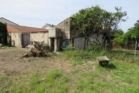 Gård i Lavos, Coimbra, Lavos - € 350 000 | Ref: ko2542 - foto 5