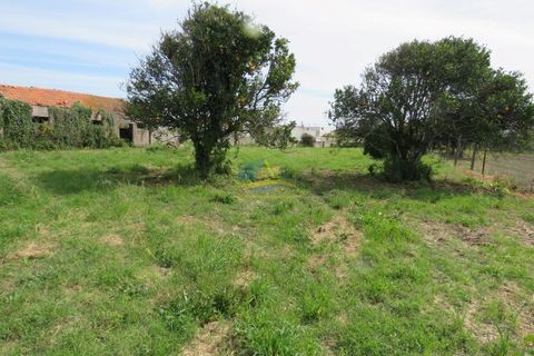 Gård i Lavos, Coimbra, Lavos - € 350 000 | Ref: ko2542 - foto 10