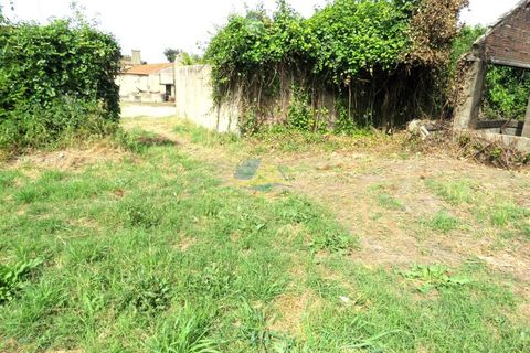 Gård i Lavos, Coimbra, Lavos - € 350 000 | Ref: ko2542 - foto 11