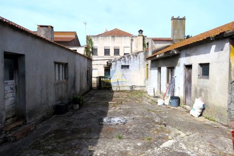 Gård i Lavos, Coimbra, Lavos - € 350 000 | Ref: ko2542 - foto 12