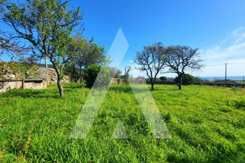 Helårsgrund i Areosa, Viana do Castelo, Areosa - € 430.000 | Ref: 1350065/24VC - foto 3