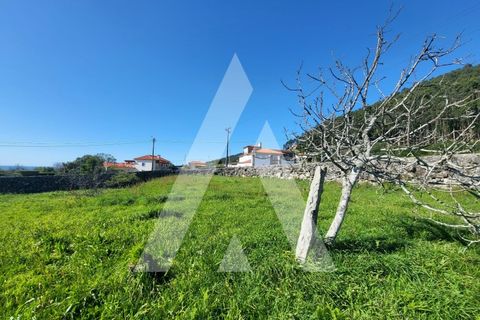 Helårsgrund i Areosa, Viana do Castelo, Areosa - € 430.000 | Ref: 1350065/24VC - foto 7