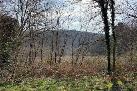 Terra a Affieux, Correze, Affieux - € 22.500 | Ref: 1344_T - foto 2