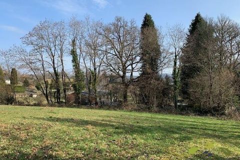 Terra a Affieux, Correze, Affieux - € 22.500 | Ref: 1344_T - foto 4