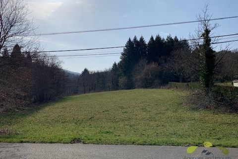 Terra a Affieux, Correze, Affieux - € 22.500 | Ref: 1344_T - foto 5