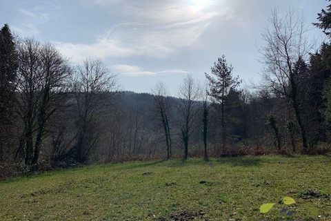Terra a Affieux, Correze, Affieux - € 22.500 | Ref: 1344_T - foto 7